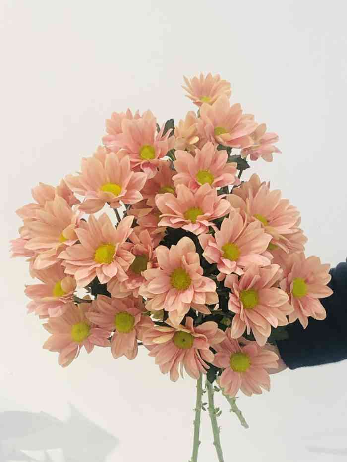 妥妥花苹果版(妥妥赚平果app下载)-第9张图片-有道翻译官网